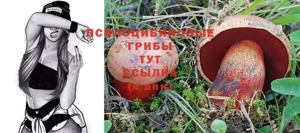 шишки Армянск